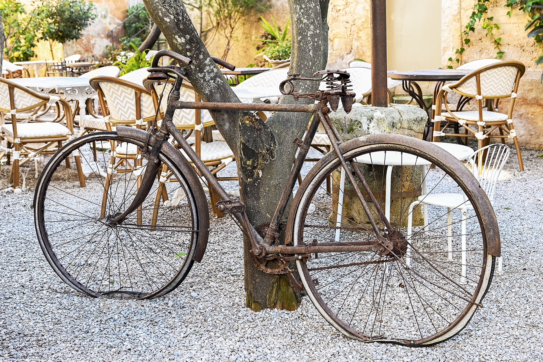 Cafe-Parisien-rusty-bike