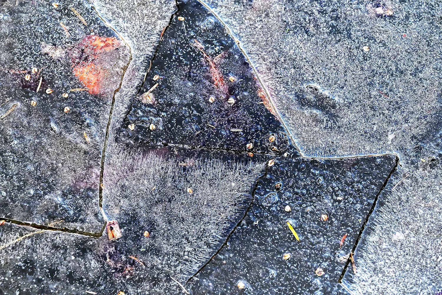 freeze-frame