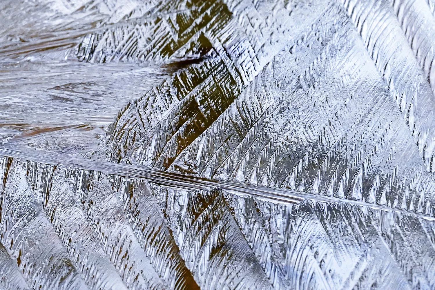 frozen-leaf-under-water