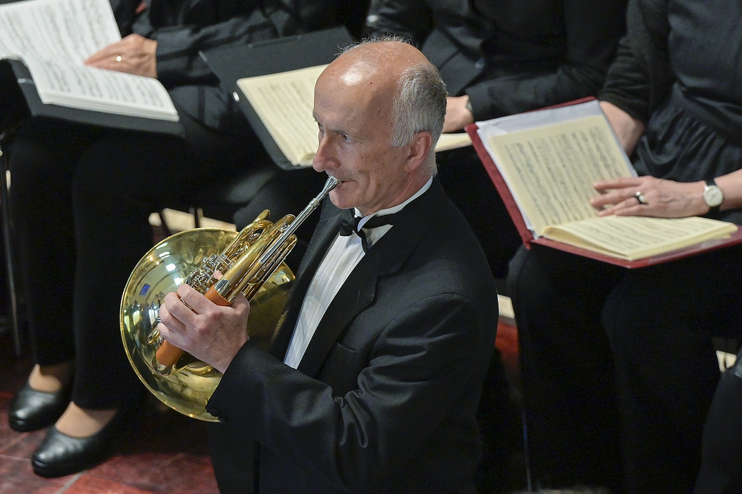 waldhorn-world-doctors-orchestra